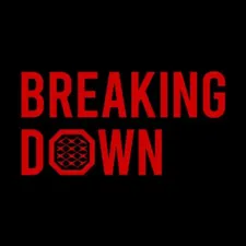 Breaking Down11